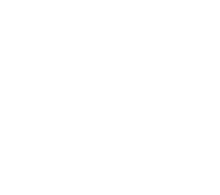 Velvet Upholstery & Design